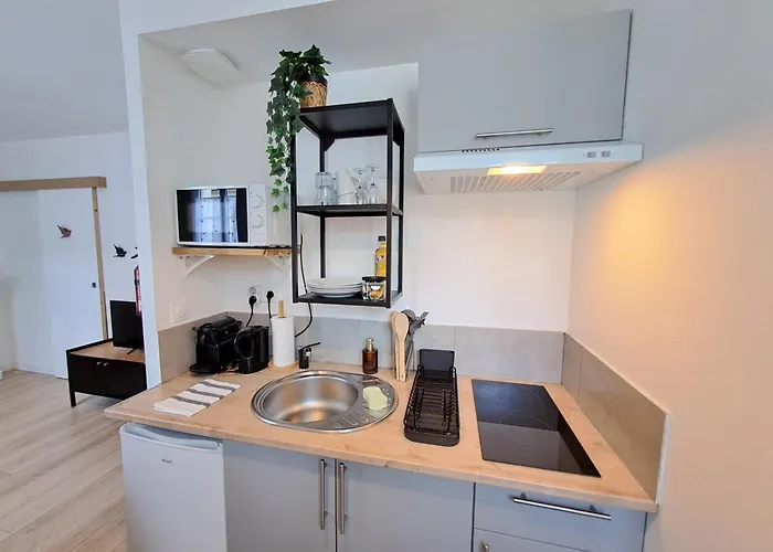 Appartement L'envolée, Proche Gare Sncf, Confort, Netflix